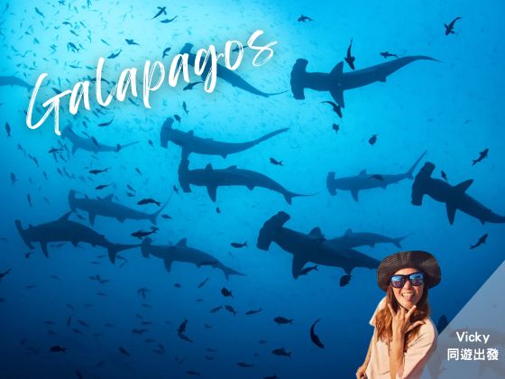 2027-05-08 Galapagos M/V Tiburon Explorer 7N Liveaboard Package - Travel with Vicky